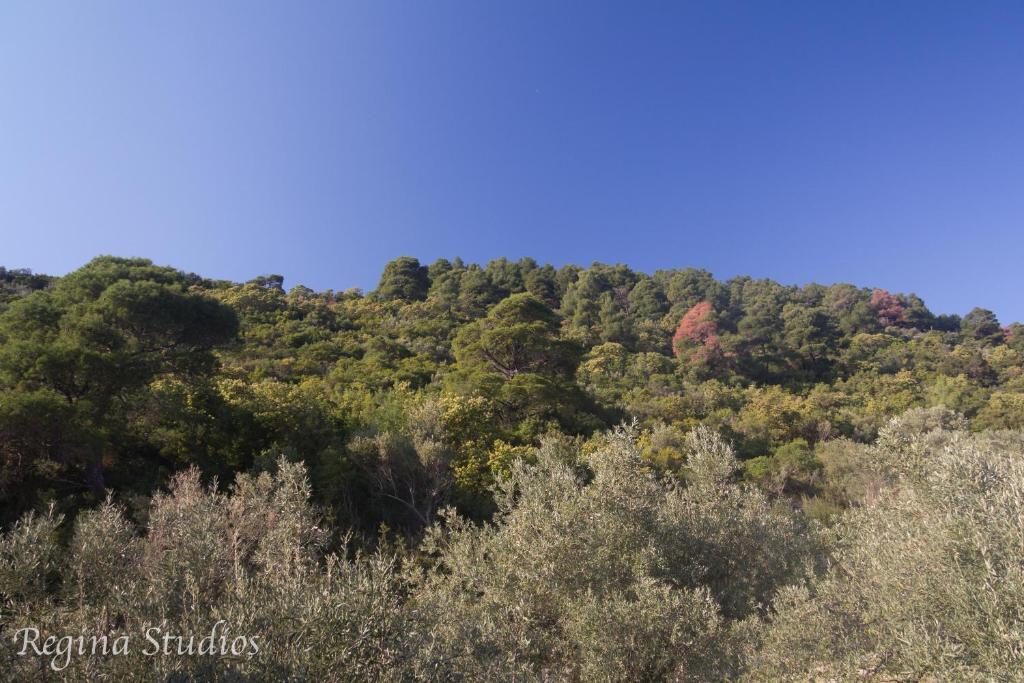 Skalopati Studios & Villa Panormos  외부 사진